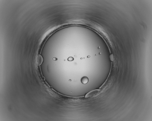 X0000112951328200909071107