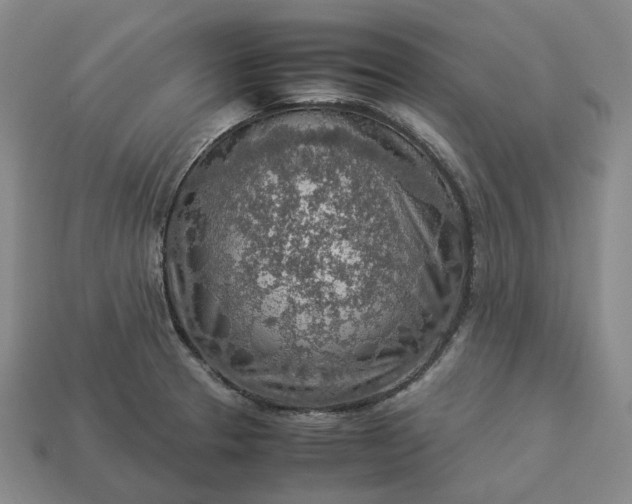 X0000112951329200909071107