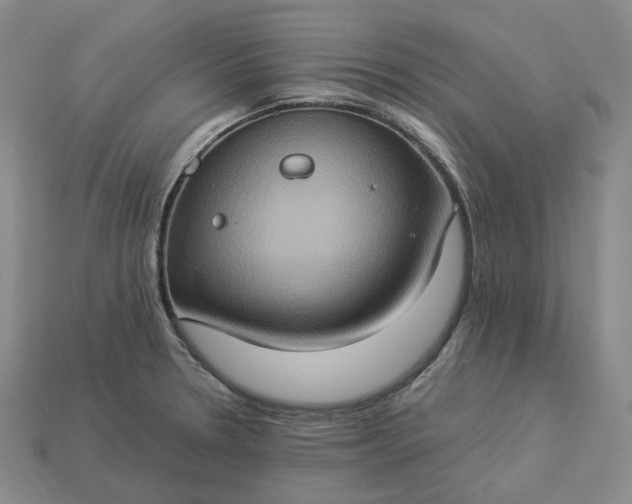 X0000112951330200909071107