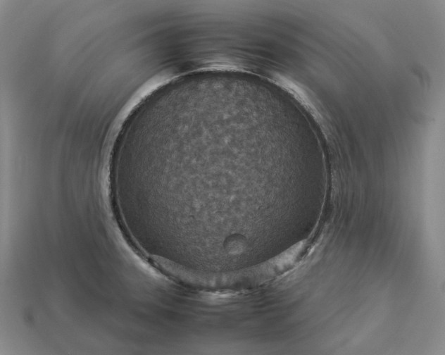 X0000112951331200909071107