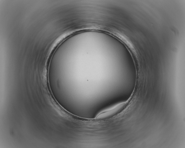 X0000112951332200909071107