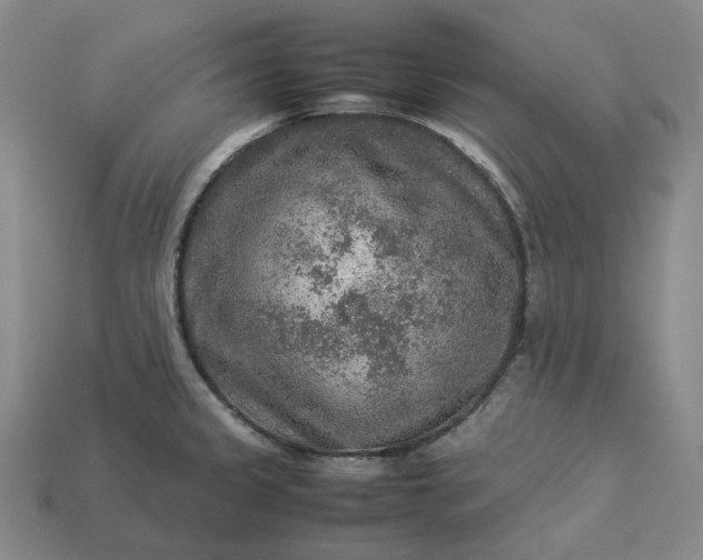 X0000112951333200909071107