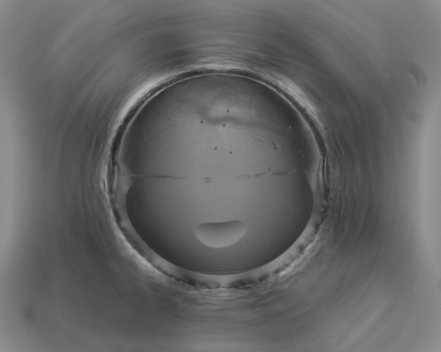 X0000112951334200909071107