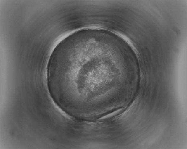 X0000112951335200909071107