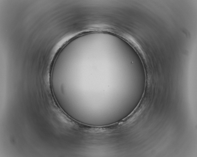 X0000112951336200909071107