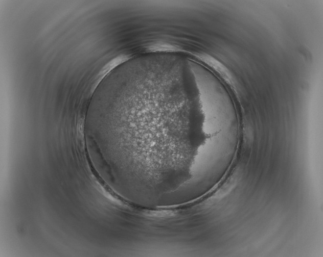 X0000112951337200909071107