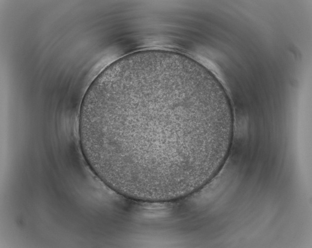 X0000112951338200909071107