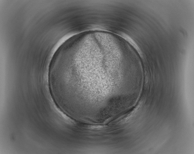 X0000112951339200909071107