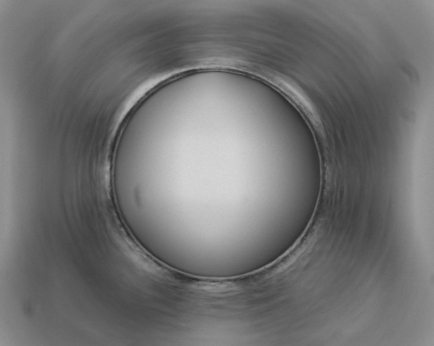 X0000112951340200909071107