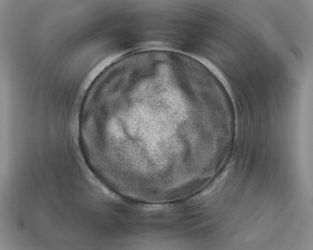 X0000112951341200909071107