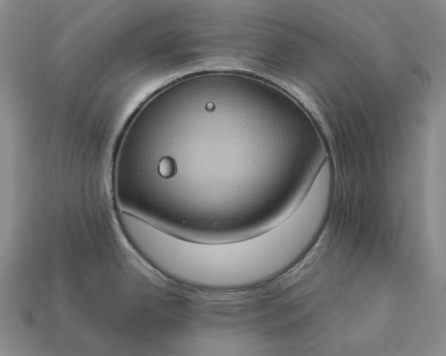 X0000112951342200909071107