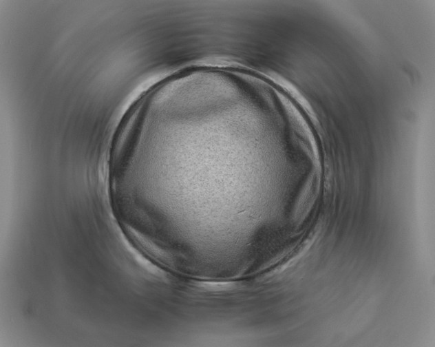 X0000112951343200909071107