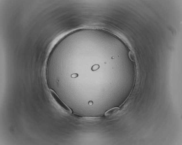 X0000112951344200909071107