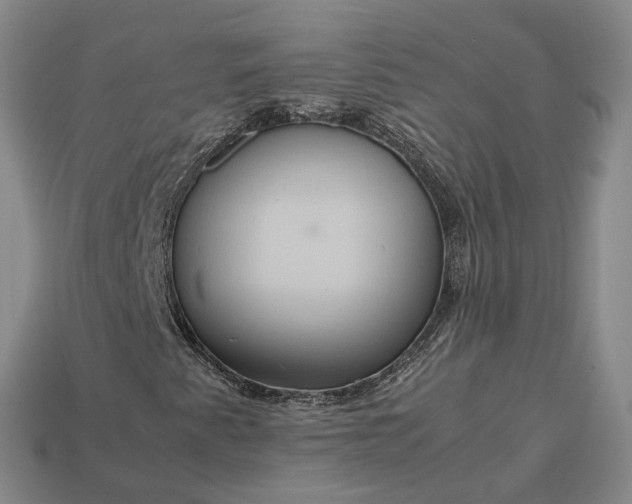 X0000112951345200909071107