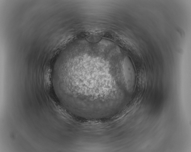 X0000112951346200909071107