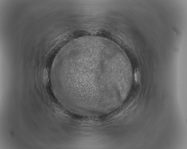 X0000112951347200909071107