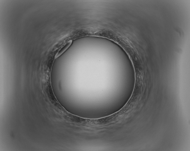 X0000112951349200909071107