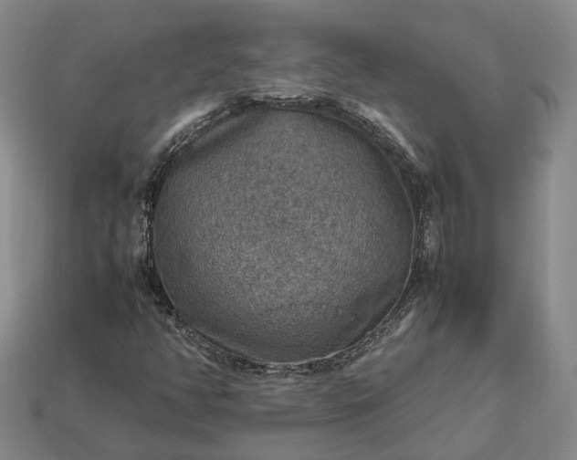 X0000112951350200909071107