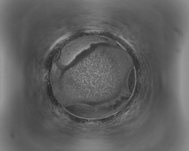 X0000112951351200909071107