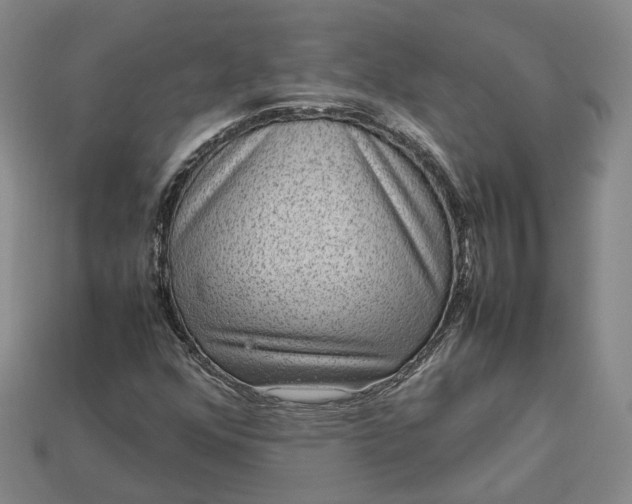 X0000112951352200909071107