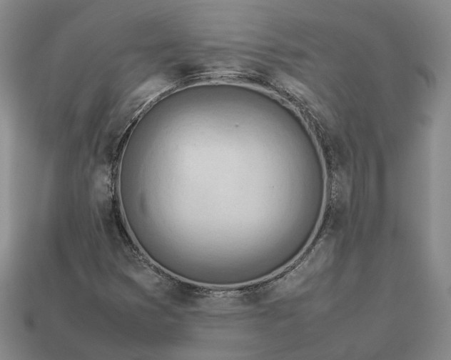 X0000112951353200909071107