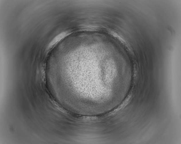 X0000112951354200909071107