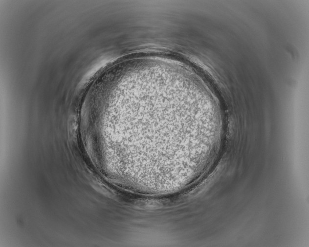 X0000112951355200909071107