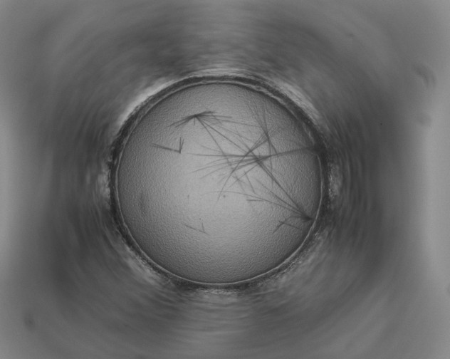 X0000112951356200909071107