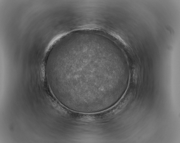 X0000112951358200909071107