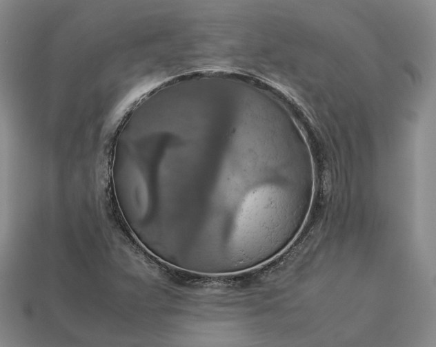 X0000112951359200909071107