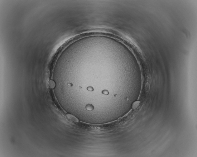 X0000112951360200909071107