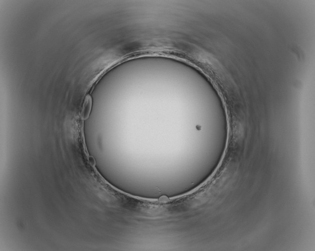 X0000112951361200909071107