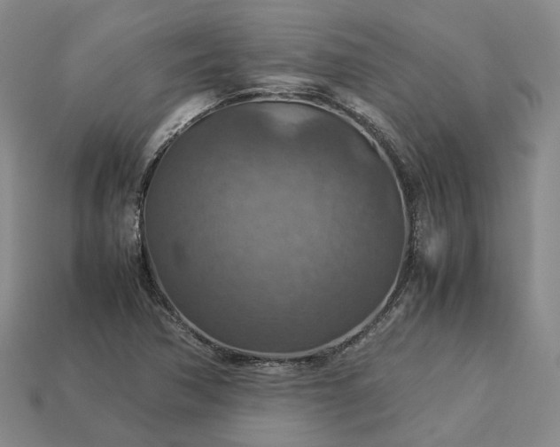 X0000112951362200909071107