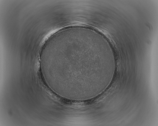 X0000112951363200909071107