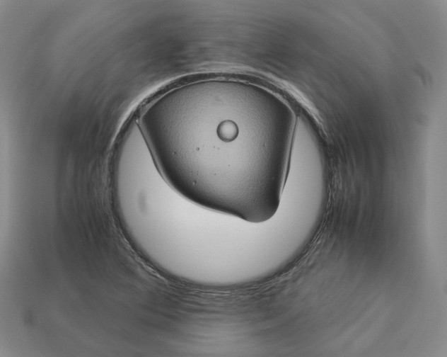 X0000112951364200909071107