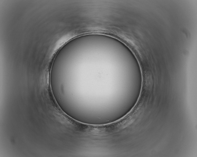 X0000112951365200909071107