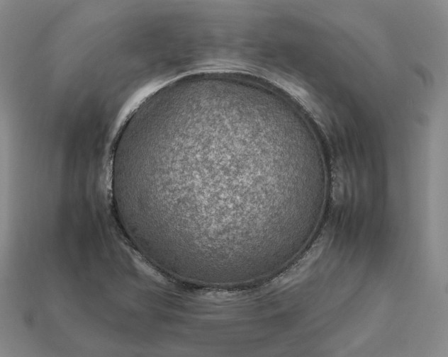 X0000112951366200909071107