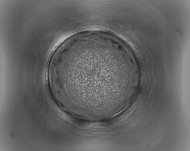 X0000112951367200909071107