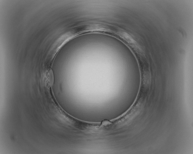 X0000112951369200909071107