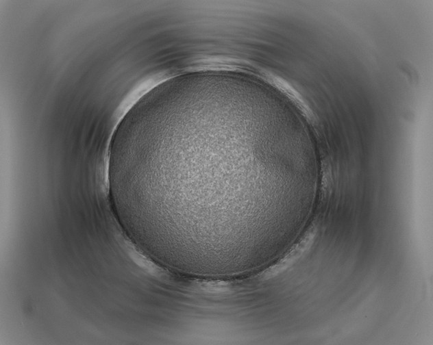 X0000112951370200909071107