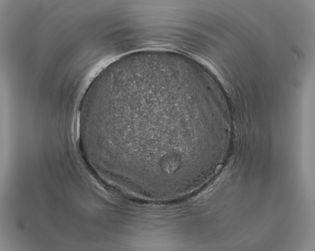 X0000112951371200909071107