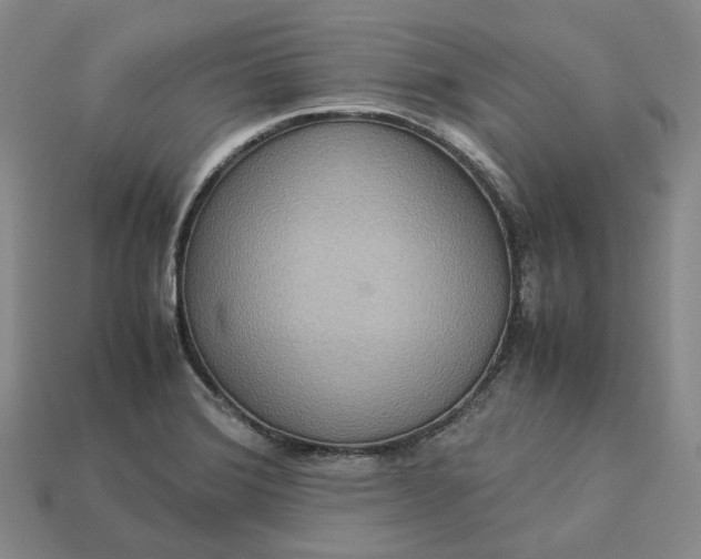 X0000112951372200909071106