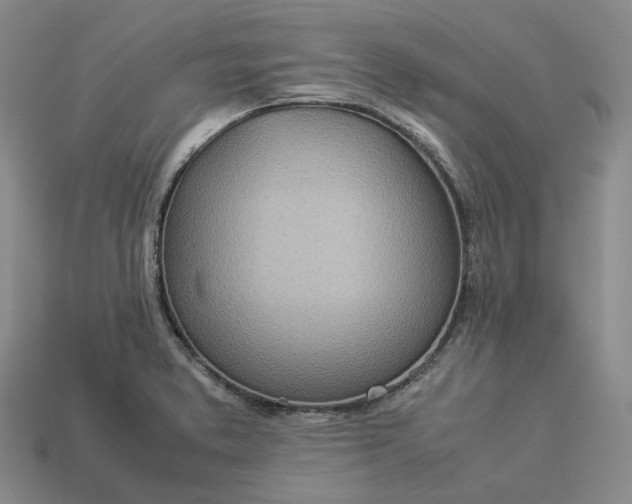 X0000112951373200909071106