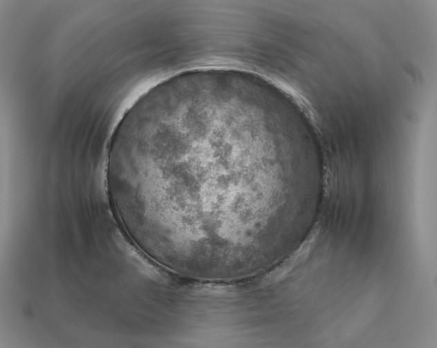 X0000112951374200909071106