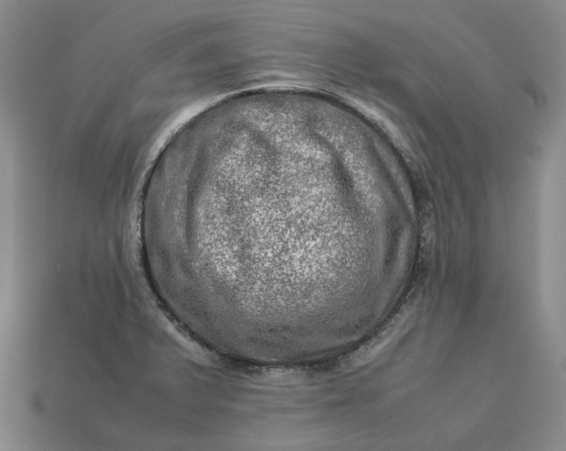 X0000112951375200909071106