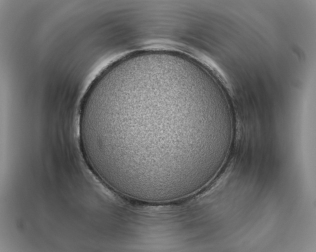 X0000112951376200909071106