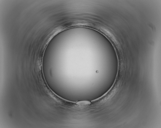 X0000112951377200909071106