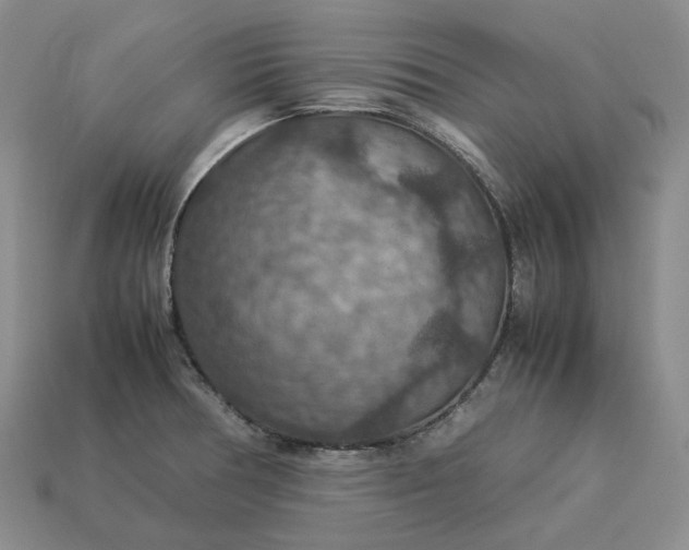 X0000112951378200909071106