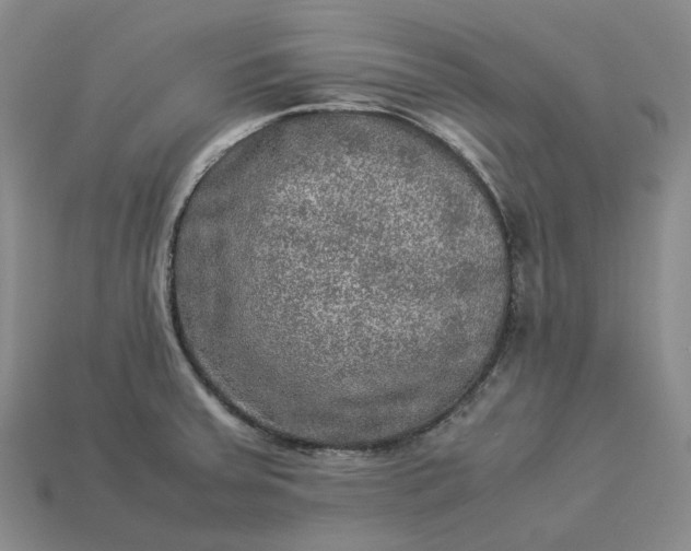 X0000112951379200909071106