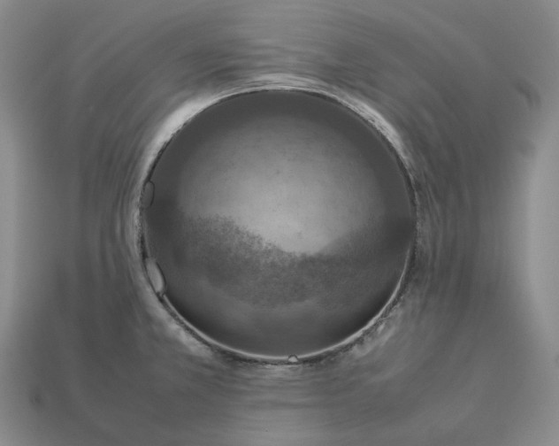 X0000112951381200909071106